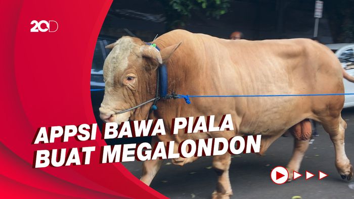 Sapinya Dapat Penghargaan, Atta Halilintar Merasa Senang