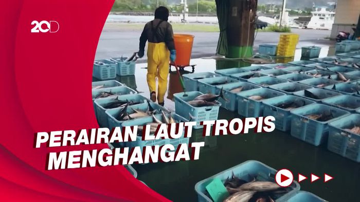 Nelayan di Jepang Terdampak Perubahan Iklim, Tangkapan Berkurang