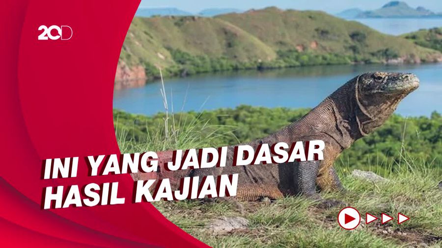 Tiket Rp 3,75 Juta ke Taman Nasional Komodo Segera Diresmikan