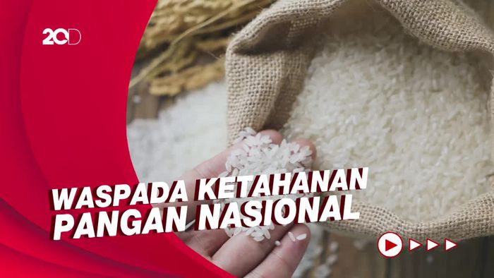Mitigasi Dampak Perubahan Iklim, Ini Pesan Kepala BMKG ke Petani
