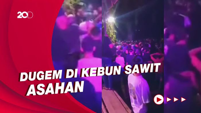 Viral Warga Dugem di Kebun Sawit Hingga Berujung Baku Hantam