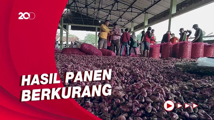 Bawang Merah di Jakarta Tembus Rp 80 Ribu/Kg, Petani Ungkap Sebabnya