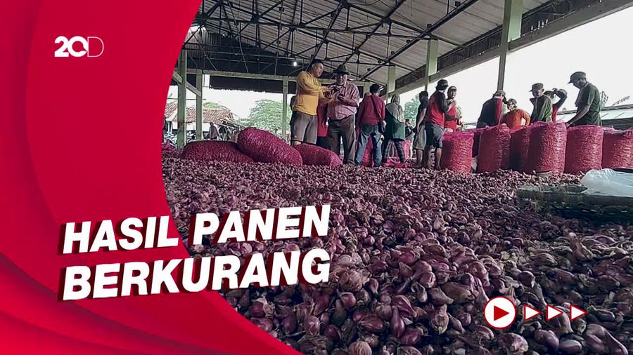Bawang Merah di Jakarta Tembus Rp 80 Ribu/Kg, Petani Ungkap Sebabnya
