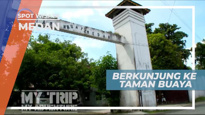 Melihat Dari Dekat Ragam Jenis Buaya di Penangkaran, Medan