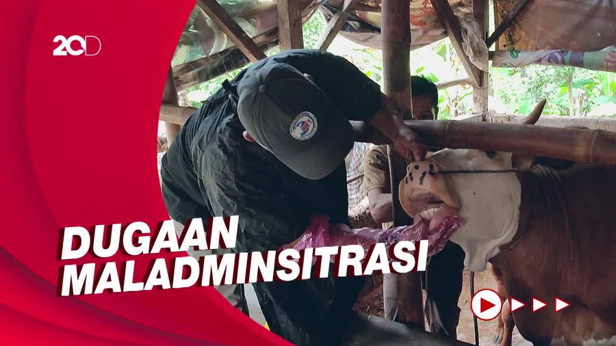 Ombudsman RI Temukan Kelalaian Terkait Pencegahan Wabah PMK