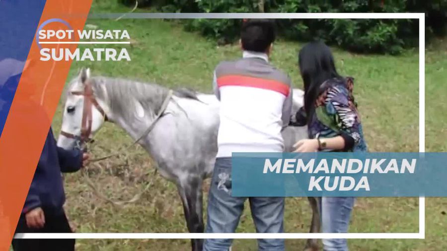 Mencoba Memandikan Kuda di Taman Simalem Sumatera Utara