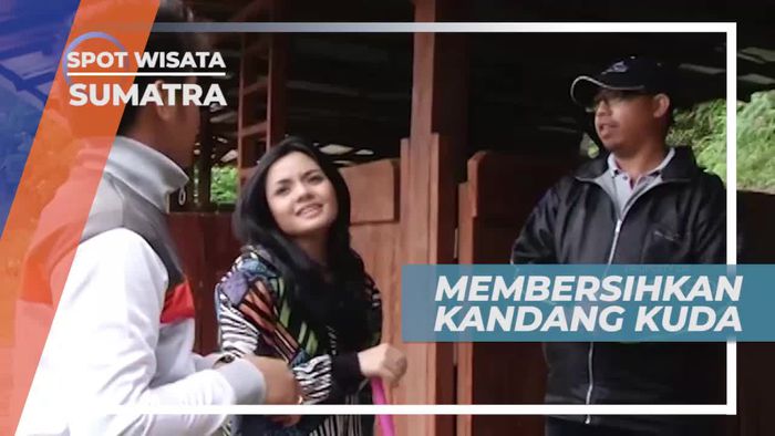 Membersihkan Kandang Kuda di Taman Simalem Sumatera Utara