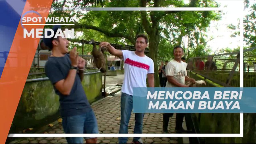 Memberi Makan Buaya di Penangkaran, Medan Sumatera Utara