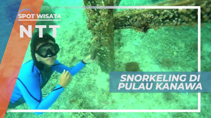 Pulau Kanawa, Salah Satu Destinasi Wisata Favorit di Nusa Tenggara Timur