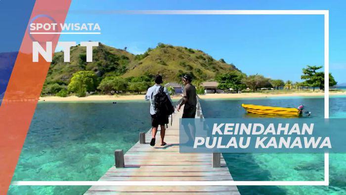 Snorkeling Menikmati Panorama Keindahan Pulau Kanawa Nusa Tenggara Timur
