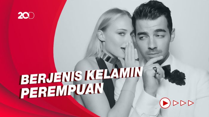 Selamat! Sophie Turner dan Joe Jonas Dikaruniai Anak Kedua
