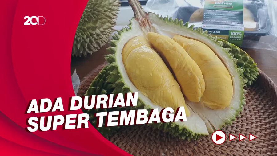Berburu Durian Sultan di Kawasan BSD Tangerang