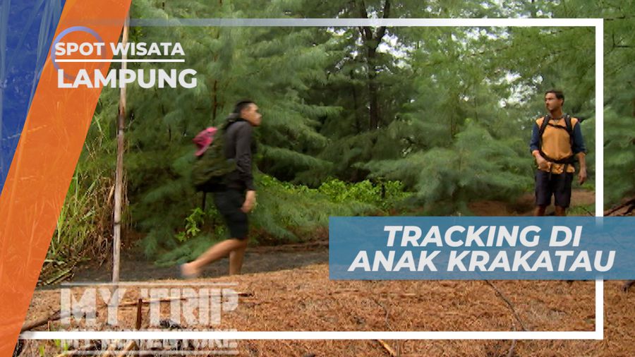 Menikmati Alam dengan Hiking di Anak Gunung Krakatau, Lampung