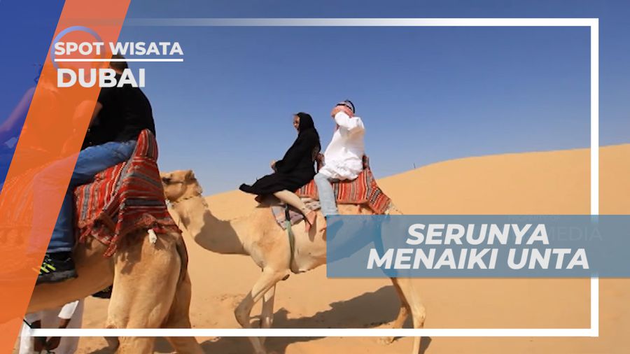 Sensasi Wisata Timur Tengah, Mengendarai Unta di Padang Pasir, Dubai