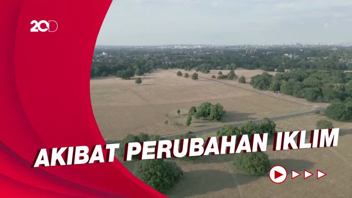 Panas Ekstrem! Suhu di Inggris Diprediksi Capai 40 Derajat Celcius