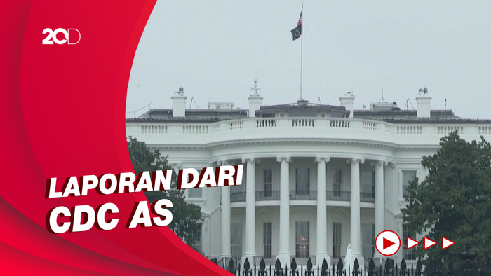 Waduh, Cacar Monyet di Amerika Serikat Capai 1800 Lebih!