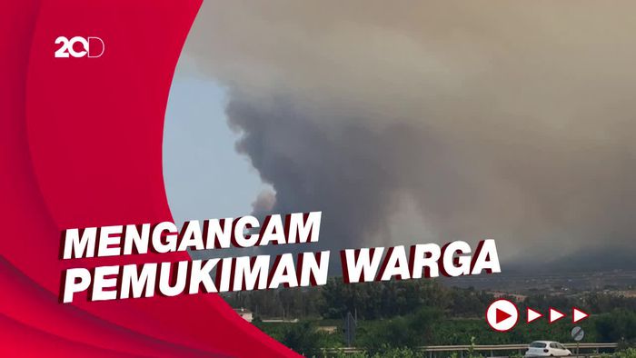 Ngeri! Langit Spanyol Penuh Asap Hitam Akibat Kebakaran Hutan