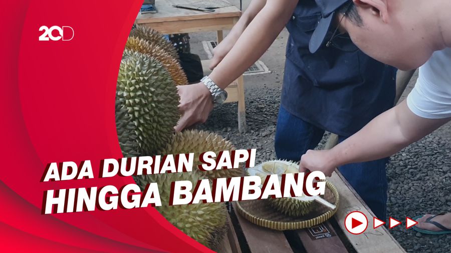 Main-main ke Pusatnya Durian Nusantara Berkualitas