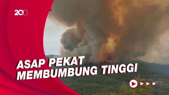 Ngeri! Kebakaran Besar Terjadi di Hutan Catalonia Spanyol