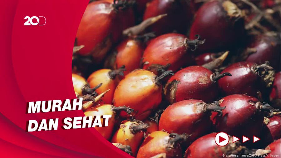 Jokowi akan Bikin Minyak Merah, Lebih Murah dari Migor Bening