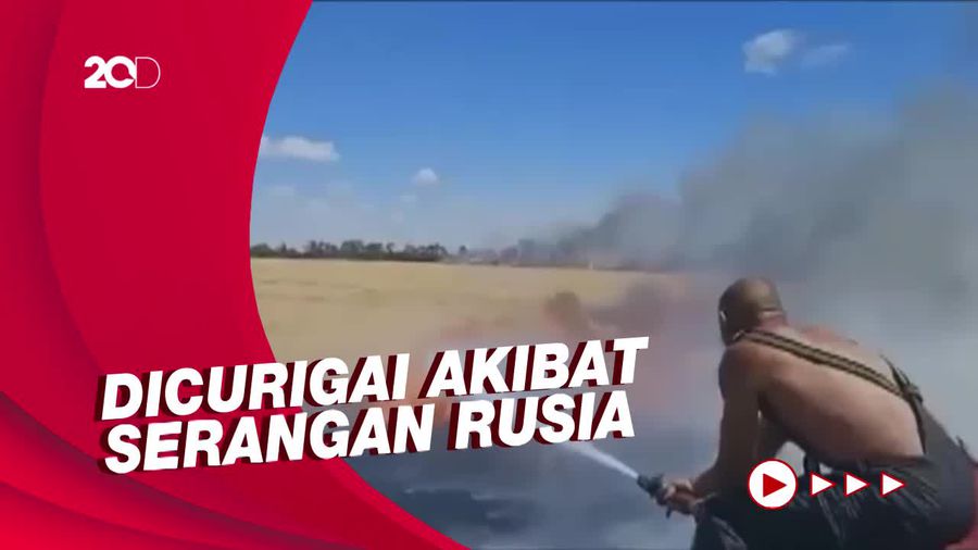 Ladang Gandum  Siap Panen di Ukraina Terbakar