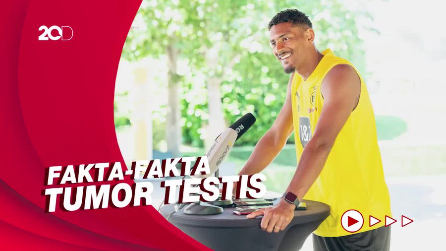 Sebastien Haller Idap Tumor Testis, Kenali Gejala-Faktor Risikonya