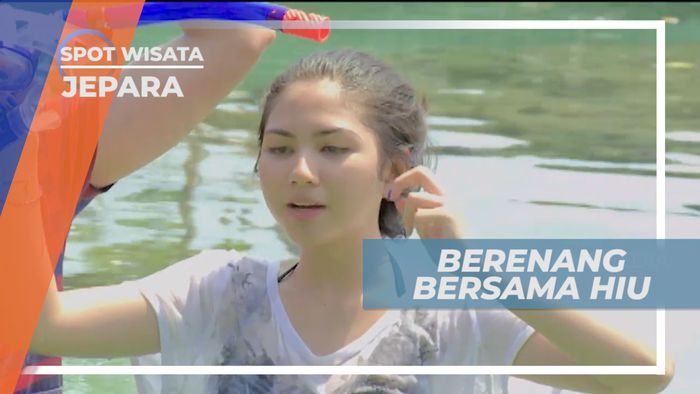 Serunya Wisata Edukasi dan Uji Nyali Berenang Bersama Hiu, Jepara