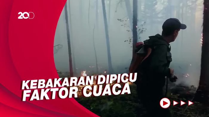 Kebakaran Hutan Melanda Rusia, Warga Diminta Pakai Masker