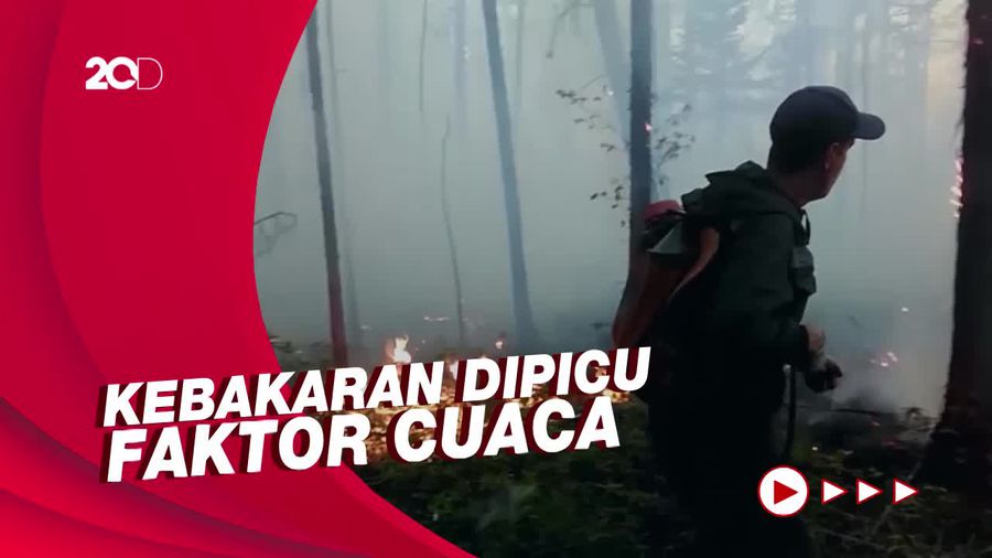 Kebakaran Hutan Melanda Rusia, Warga Diminta Pakai Masker