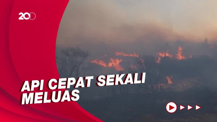 Kesulitan Atasi Kebakaran Hutan di Yunani, Akibat Cuaca Kering & Angin Kencang