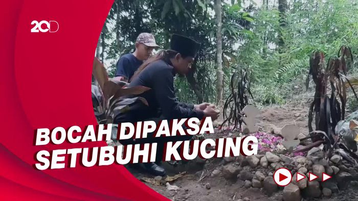 Bocah Tasikmalaya Depresi dan Meninggal Usai Dipaksa Cabuli Kucing