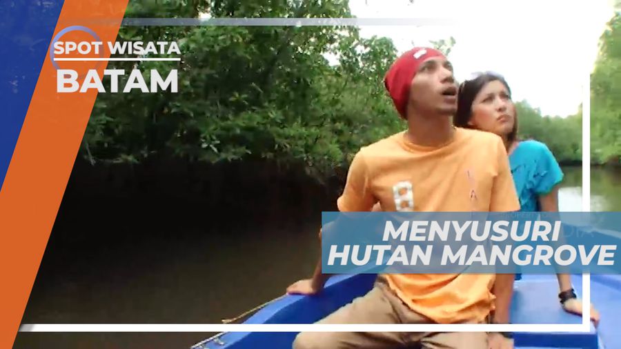 Bertemu Berbagai Jenis Binatang di Hutan Mangrove, Batam