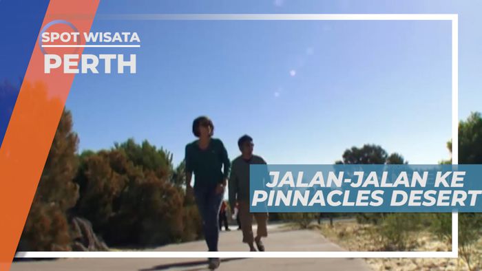 Wisata Padang Pasir ke Pinnacles Desert, Perth