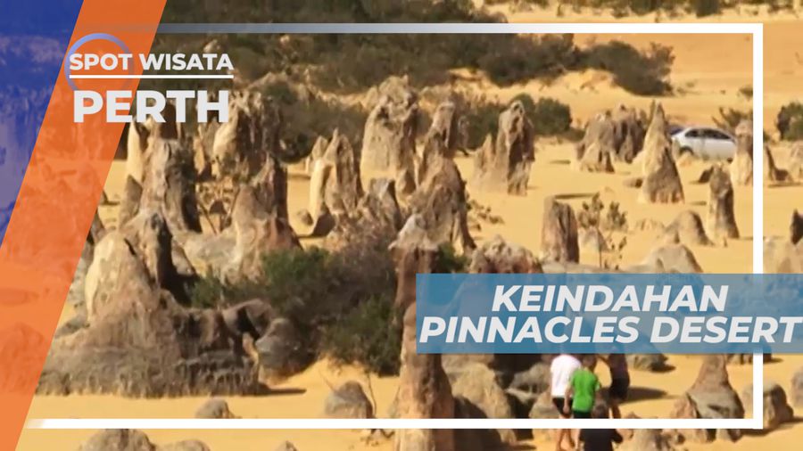 Pinnacles View, Lautan yang Menjadi Daratan, Perth