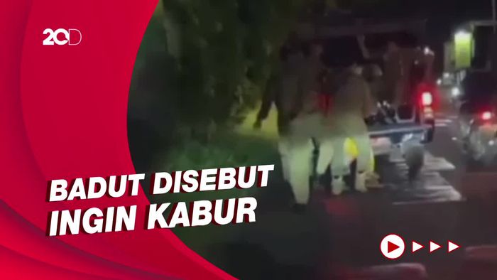 Klarifikasi Satpol PP Kudus soal Badut Ditendang saat Kena Razia