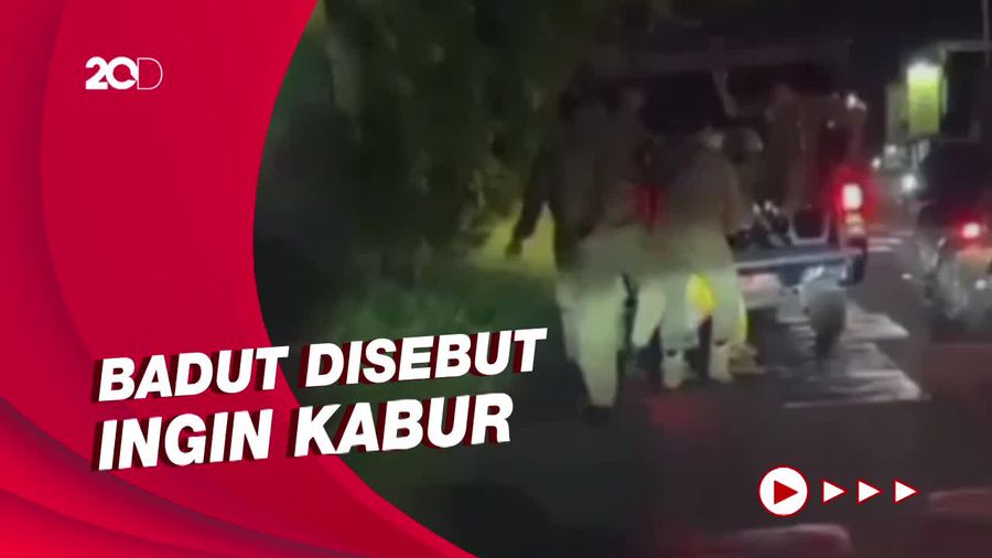 Klarifikasi Satpol PP Kudus soal Badut Ditendang saat Kena Razia
