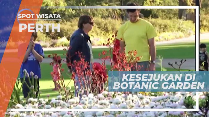 Kings Park, Taman Kota Hijau Terbesar di Jantung Kota Perth