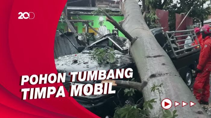 Mobil Ringsek Tertimpa Pohon Tumbang di Jaktim