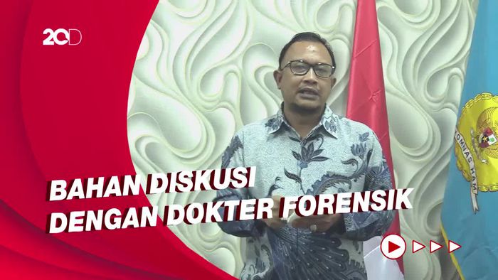 Komnas HAM Kantongi Catatan Signifikan soal Luka Brigadir J 