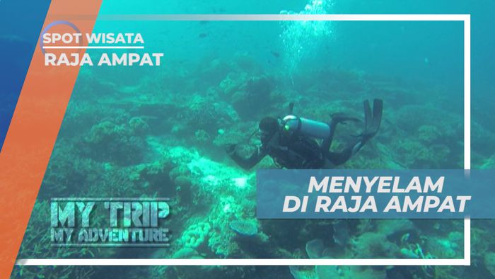 Menyelami Indahnya Surga Tersembunyi di Timur Indonesia, Raja Ampat