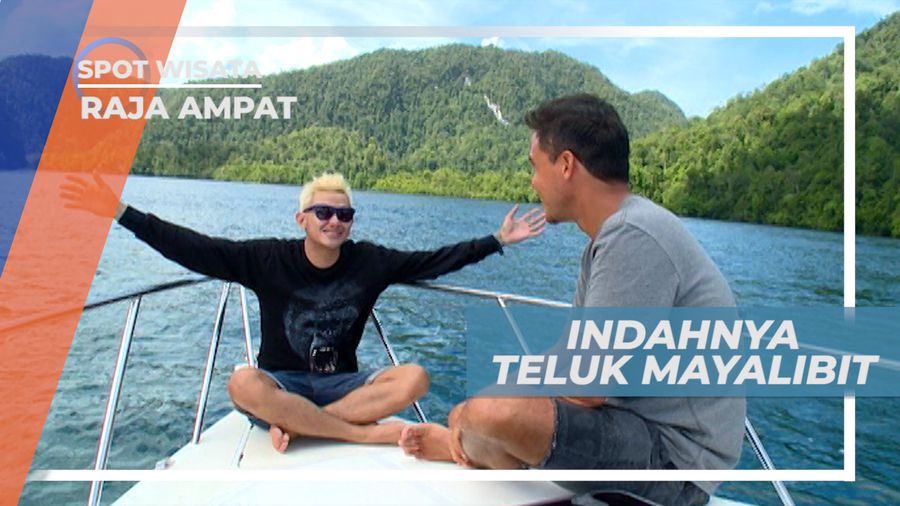 Teluk Mayalibit, Menikmati Eksotisme Pulau-pulau Karang di Barat Papua, Raja Ampat