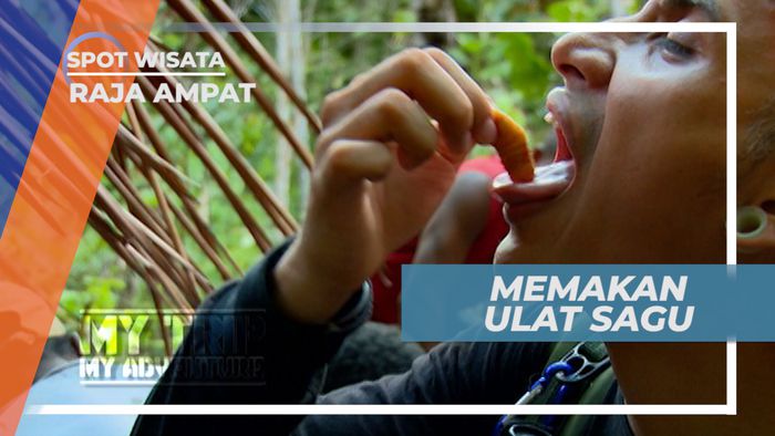 Ulat Sagu, Kuliner Ekstrem Khas Papua yang Kaya Protein, Raja Ampat