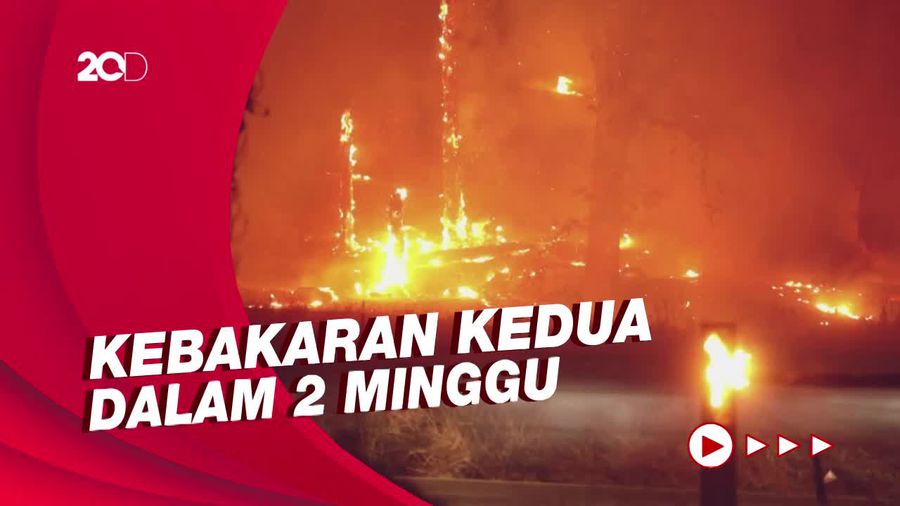 Kebakaran Hutan di California Menjalar Sangat Cepat