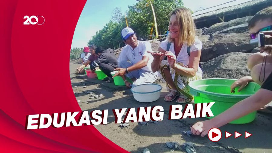 Turis Asing di Bali Antusias Lepas Ratusan Anak Penyu