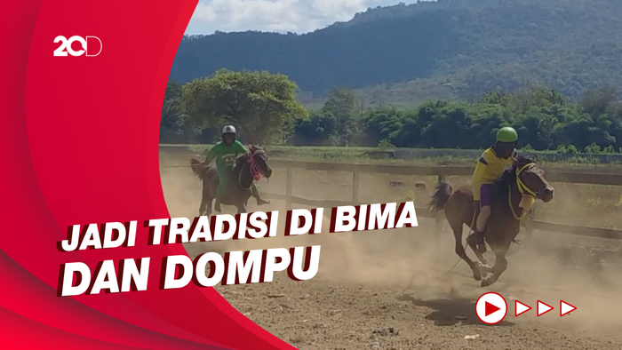 Ada Pro Kontra Eksploitasi Anak, Tradisi Pacuan Kuda Sumbawa Tetap Eksis