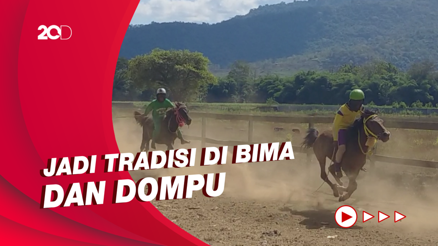 Ada Pro Kontra Eksploitasi Anak, Tradisi Pacuan Kuda Sumbawa Tetap Eksis