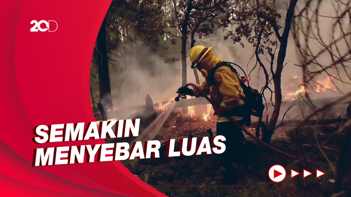 Kebakaran Hutan di California Meluas, 3 Ribu Warga Dievakuasi