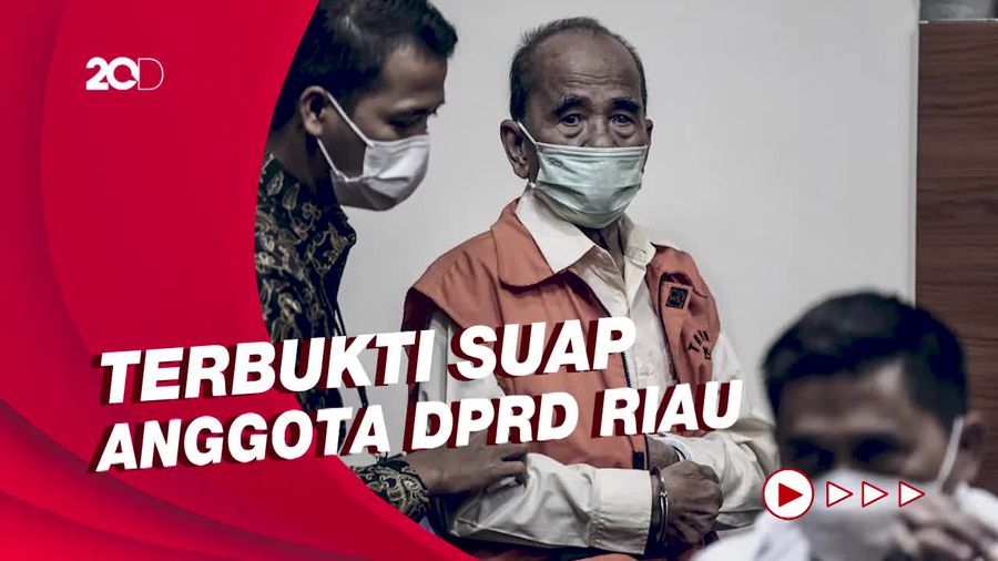 Momen Annas Maamun Divonis 1 Tahun Penjara