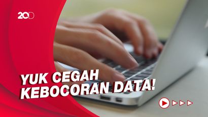 5 Situs untuk Cek Kebocoran Data Pribadi di Internet 