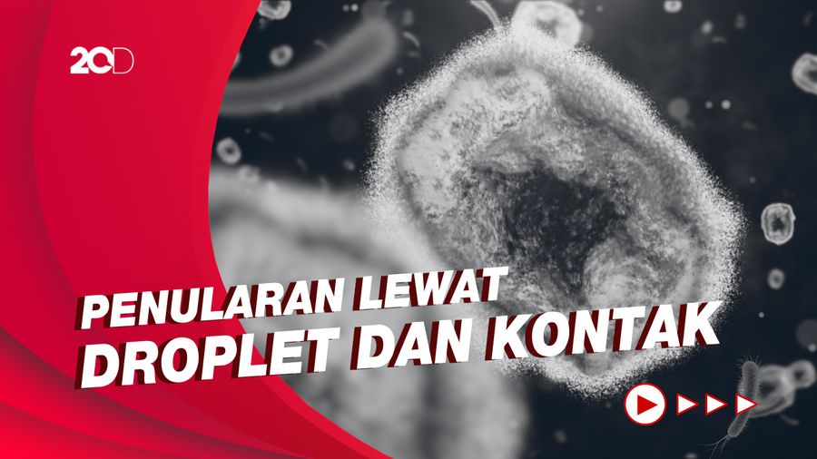 Kemenkes: Cacar Monyet Bukan Penyakit Menular Seksual